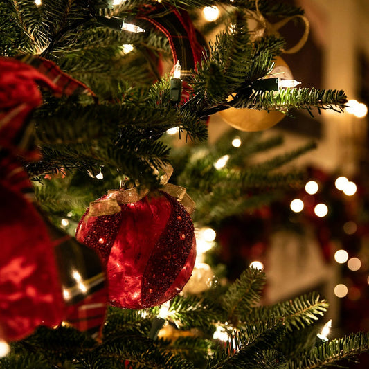 2025 / 2026 HOLIDAY SCHEDULE