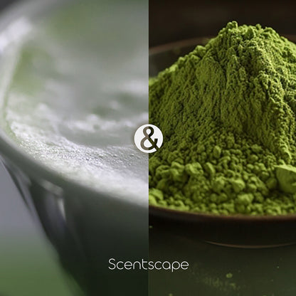 SCENTSCAPE - Matcha & Latte 30 sticks (min. multiples of 6)