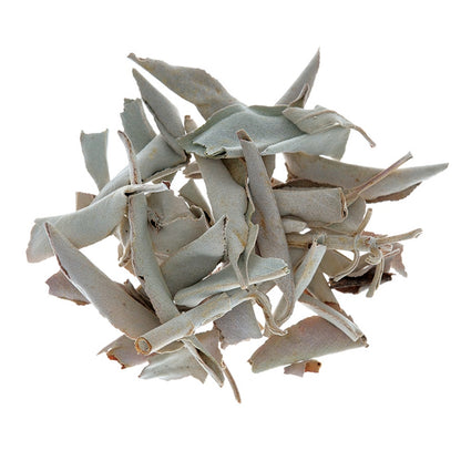 CHIE - White Sage 30 sticks (multiples of 6)