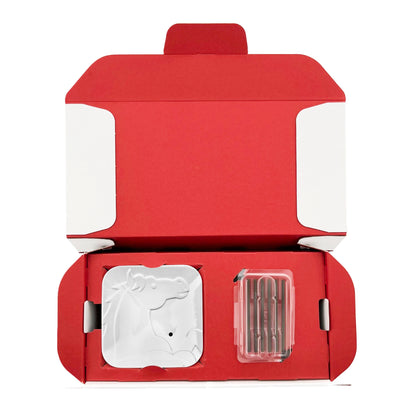 YEAR OF THE HORSE INCENSE SET