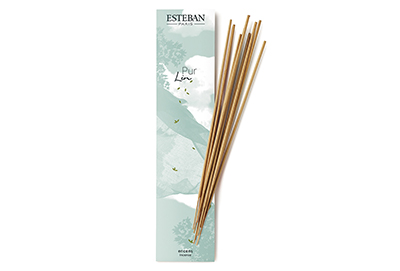 NEW! ESTEBAN PARIS: Pur Lin Bamboo Stick Incense